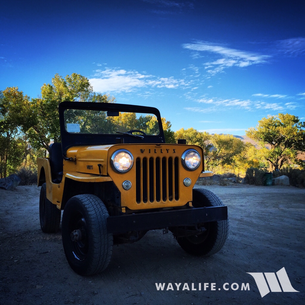 Pappy : 1954 Willys CJ3B along the Carson River