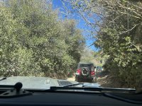 IMG_8216.jpeg