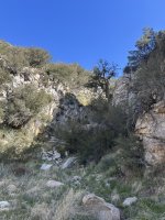 IMG_8219.jpeg
