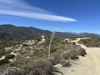 IMG_0383.jpeg