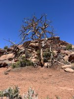 IMG_9865.jpeg