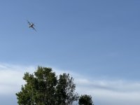 IMG_1140.jpeg