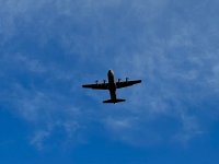 IMG_1145.jpeg