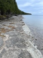 IMG_6187.jpeg