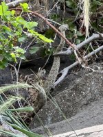 IMG_5580.jpeg