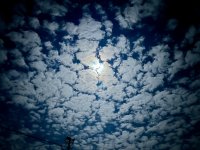 IMG_0537.jpeg