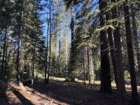 IMG_9272.jpeg
