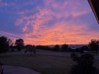 IMG_3817.jpeg