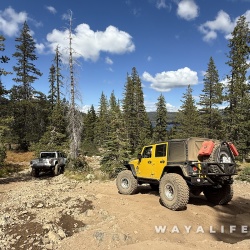 Trail Runs