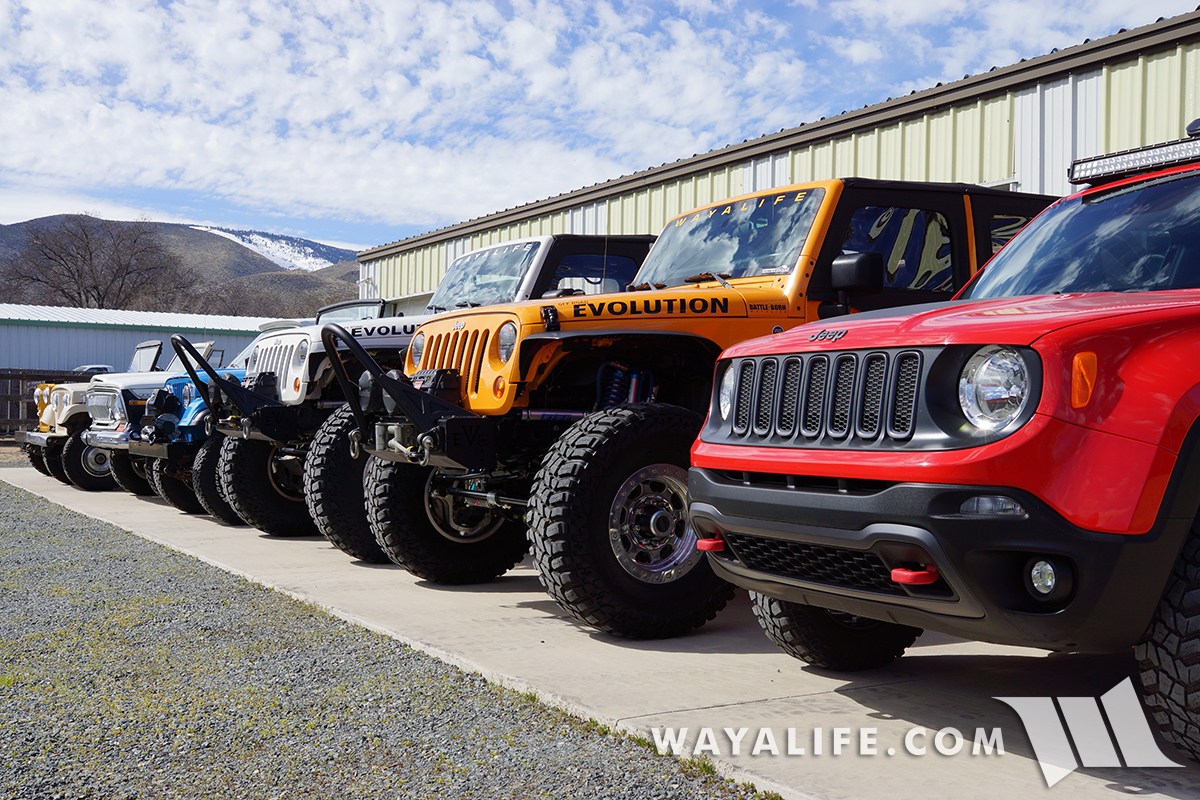 WAYALIFE Jeep Family Photo 2017