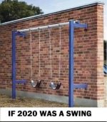 If-2020-was-a-swing.jpg