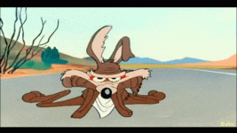 coyote-1.gif