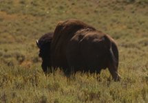 IMG_7041.jpeg