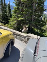 IMG_4752.jpeg