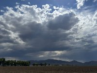IMG_3693.jpeg