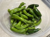 IMG_2322.jpeg