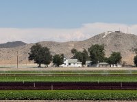 IMG_3721.jpg
