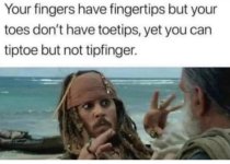 IMG_2487.jpeg