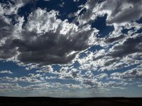 IMG_3873.jpeg