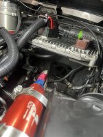 IMG_8322.jpeg
