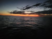 20250906_202833.jpg