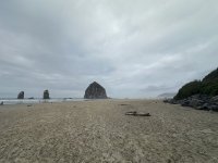 IMG_0816.jpeg