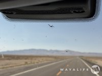 IMG_3492.jpg