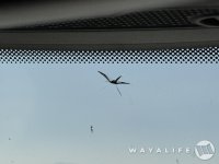 IMG_3493.jpg