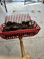 IMG_7714.jpeg