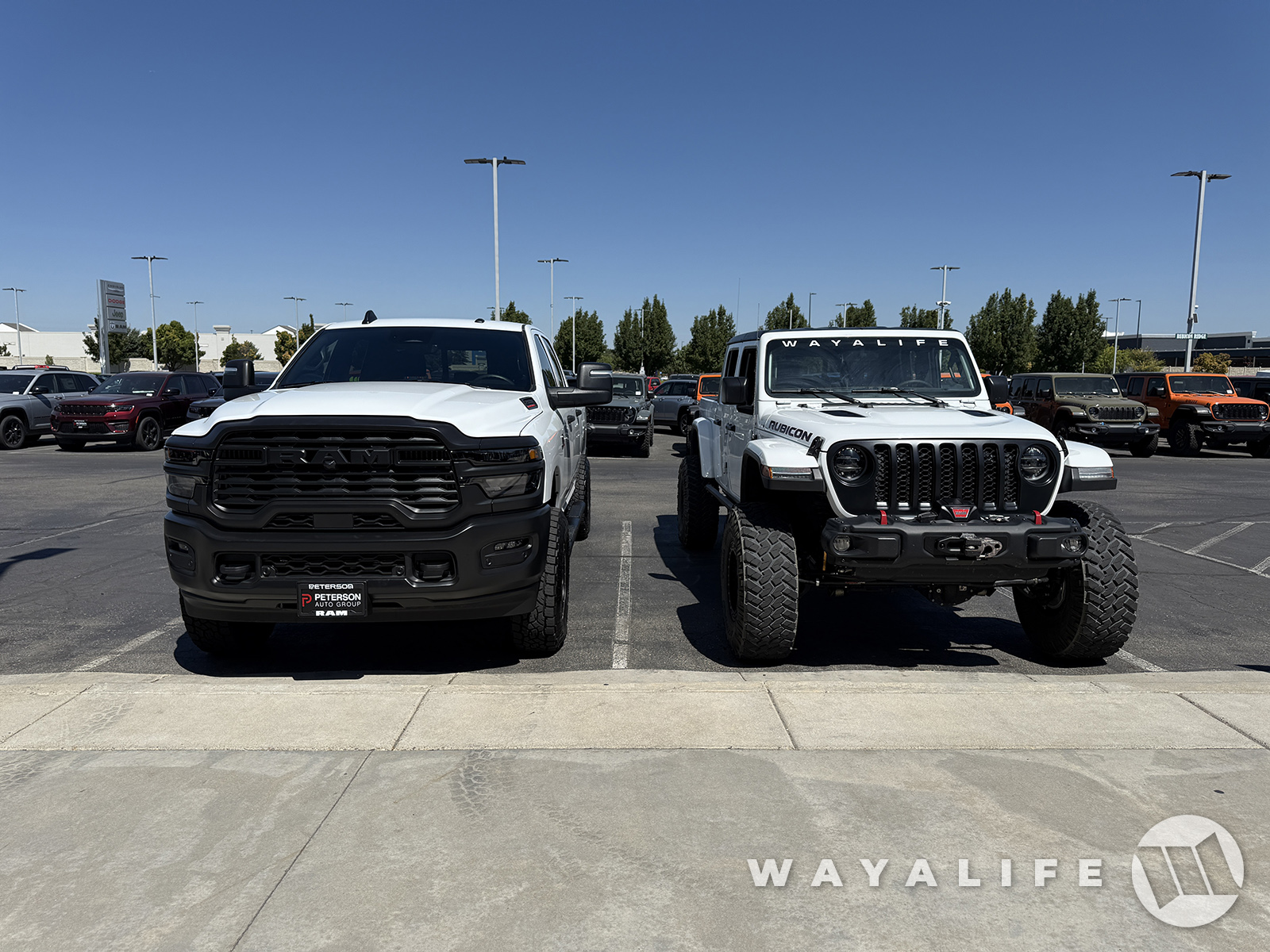 20250821085457-d7a69f6c.jpg