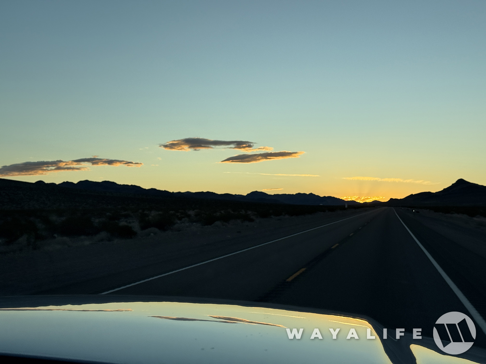 20251023140107-f9c04e5b.jpg